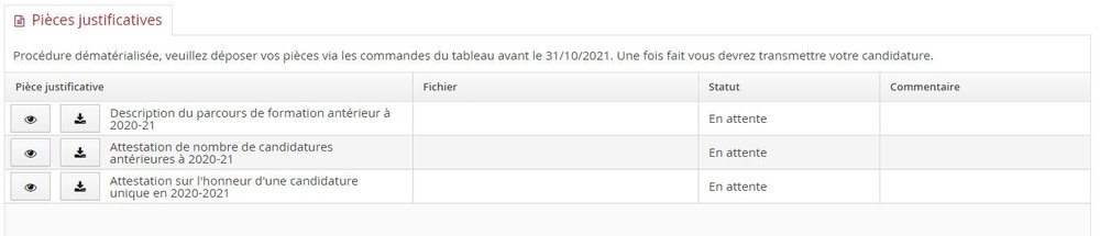 candidature mmopk.JPG