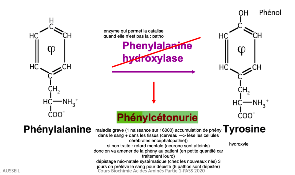 Capture d’écran 2021-10-26 à 09.07.53.png