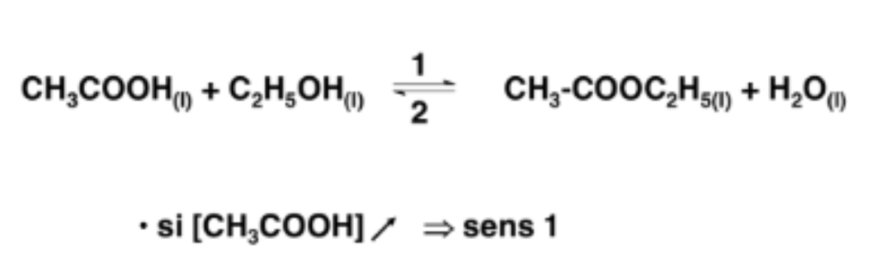 Capture d’écran 2021-10-13 à 22.41.05.png