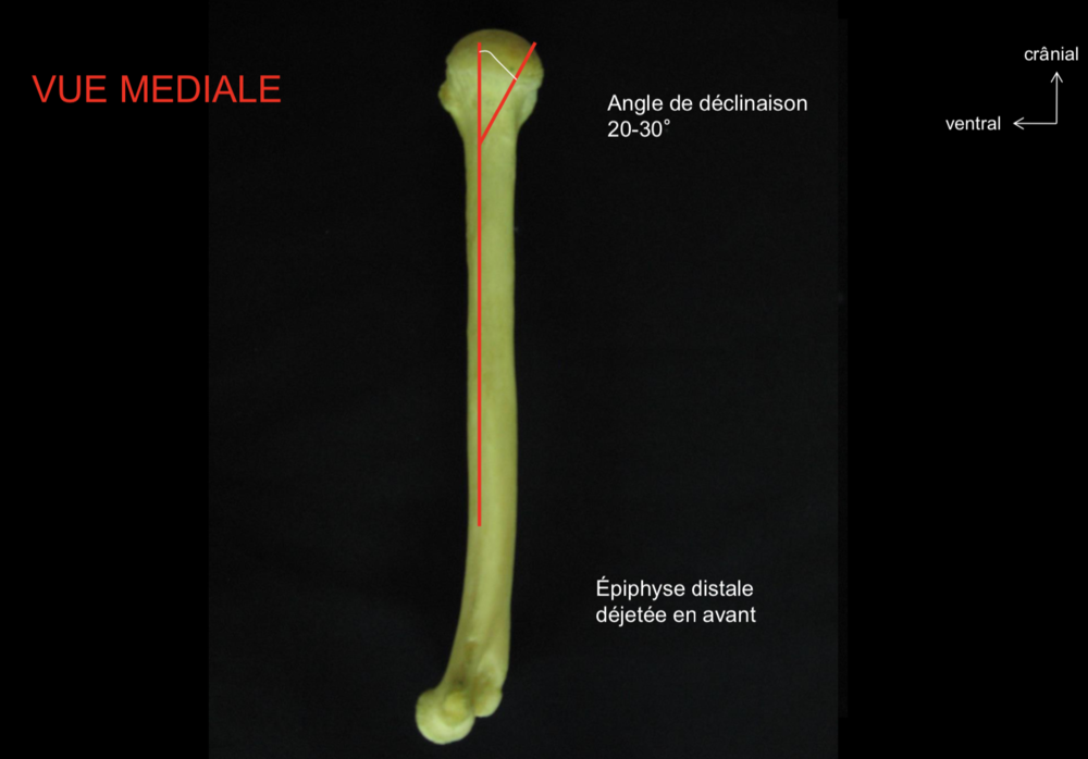 Capture d’écran 2021-10-27 à 19.24.55.png
