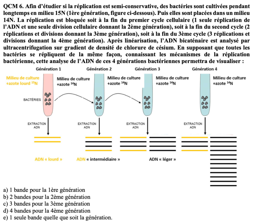 Capture d’écran 2021-11-30 à 09.39.20.png