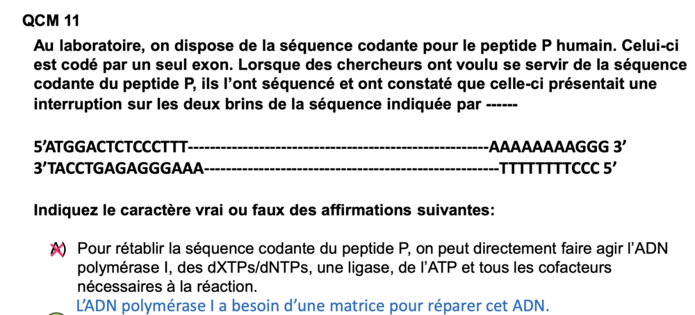 Capture d’écran 2021-11-29 à 23.22.34.png
