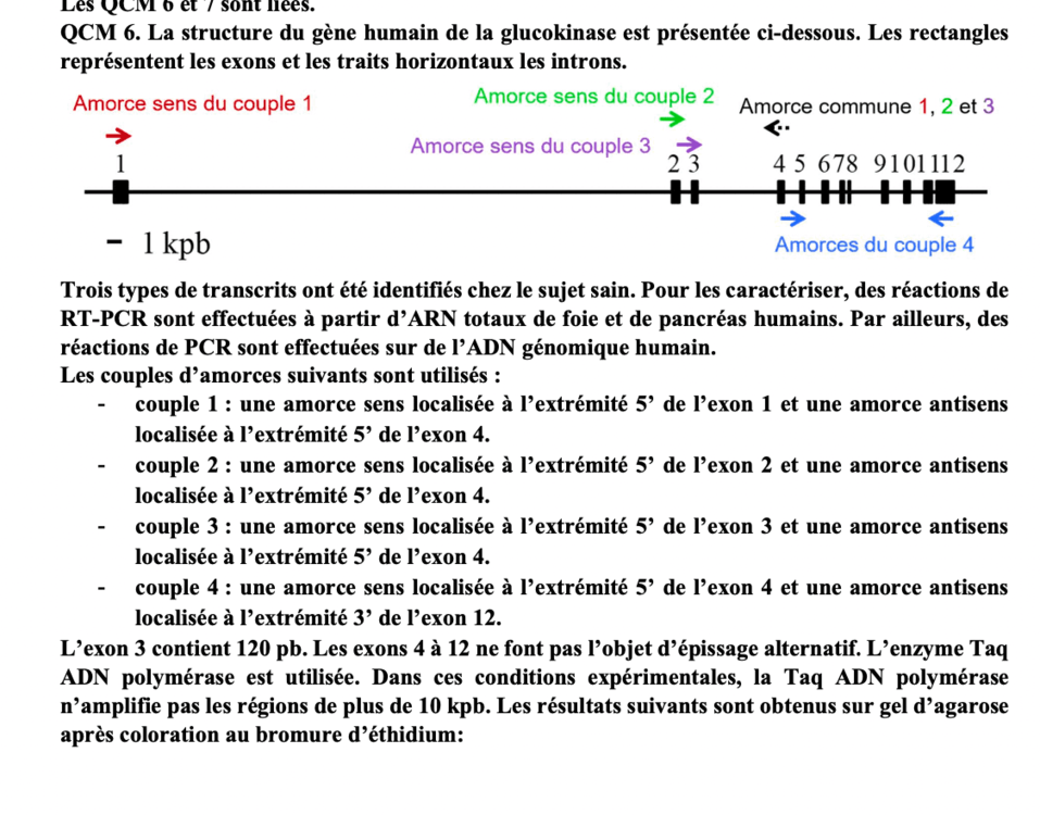 Capture d’écran 2021-11-08 à 18.13.15.png