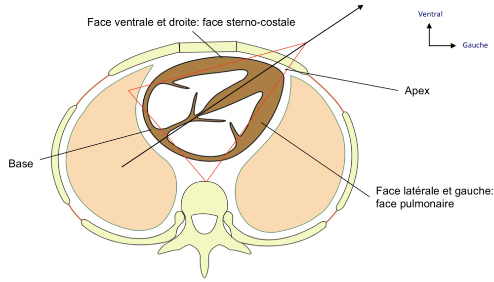Capture d’écran 2021-11-27 à 19.51.05.png