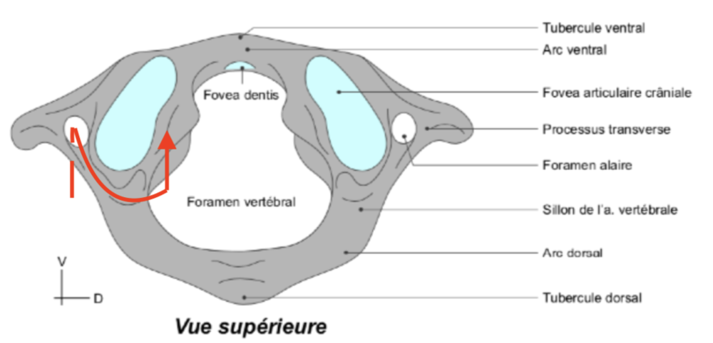 Capture d’écran 2021-11-25 à 18.58.14.png