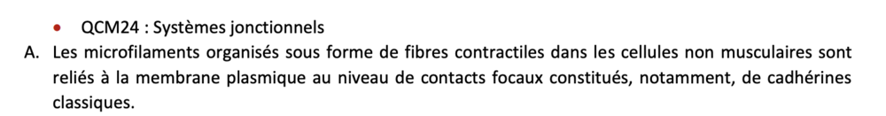 Capture d’écran 2021-12-05 à 21.58.00.png