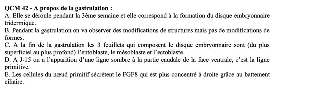 Capture d’écran 2021-12-01 à 18.47.39.jpg