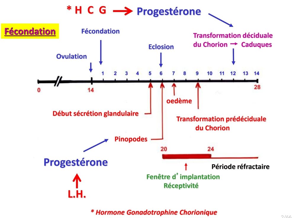 SmartSelect_20211201-173235_Samsung Notes.jpg