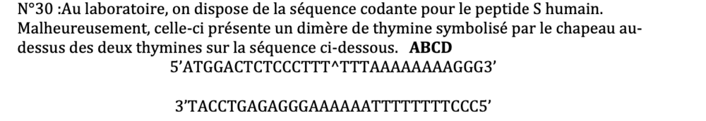 Capture d’écran 2021-12-13 à 09.39.21.png
