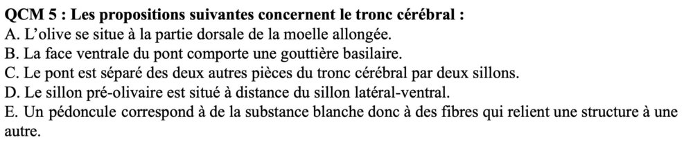Capture d’écran 2021-12-02 à 11.59.48.jpg