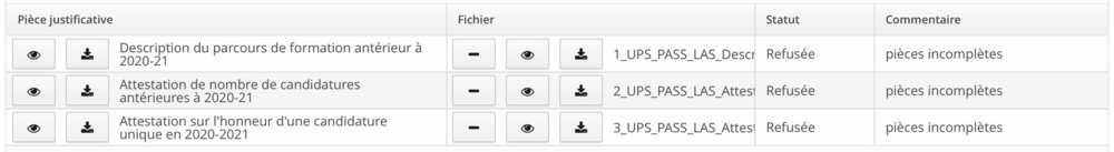 Capture d’écran 2022-01-05 à 21.29.18.jpg