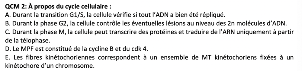 Capture d’écran 2022-01-13 à 22.04.52.png