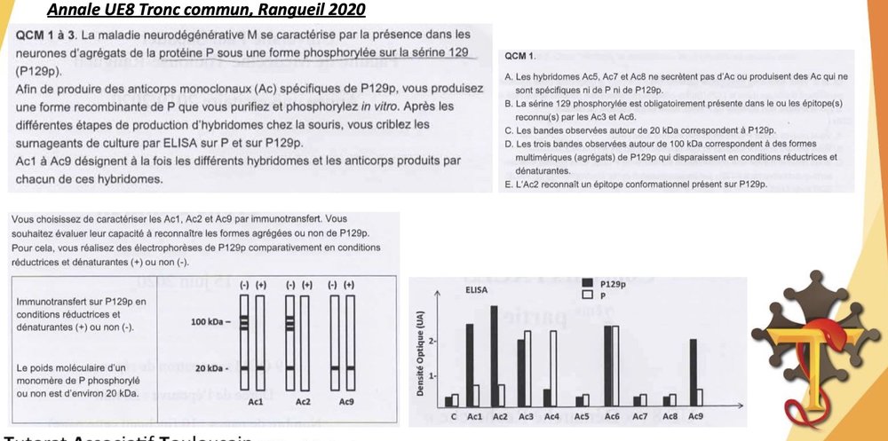 Screenshot 2022-03-17 at 16.34.12.jpg