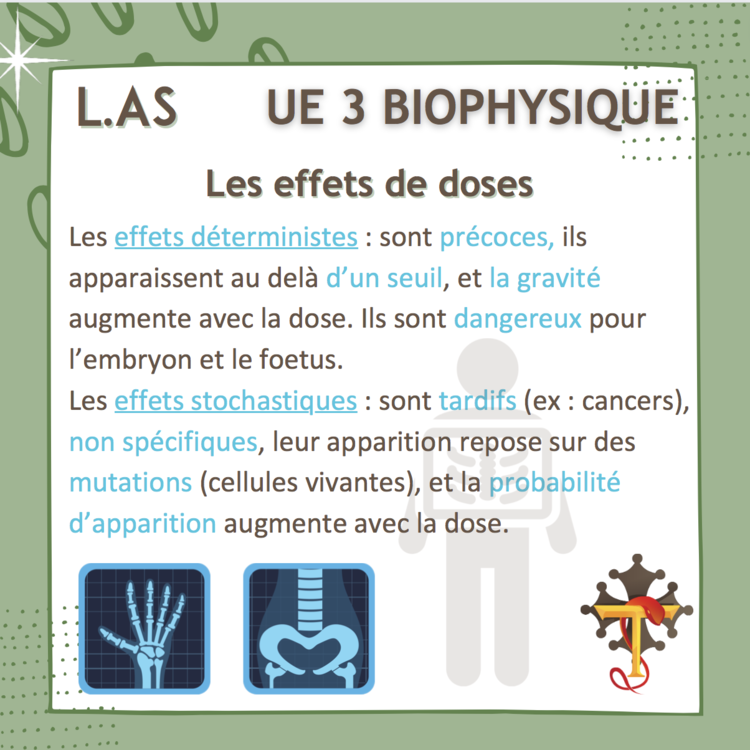 Capture d’écran 2022-06-08 à 21.41.29.png