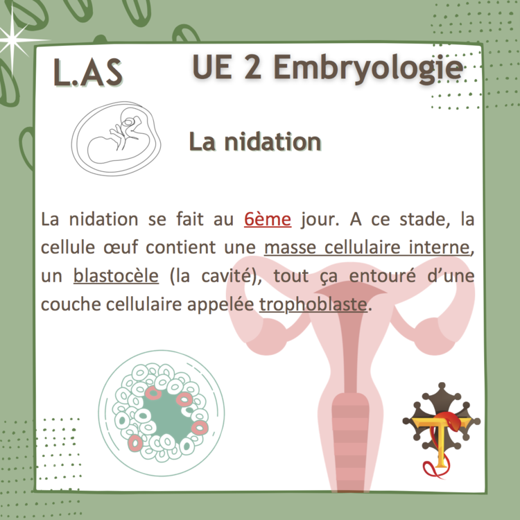 Capture d’écran 2022-06-08 à 14.51.06.png