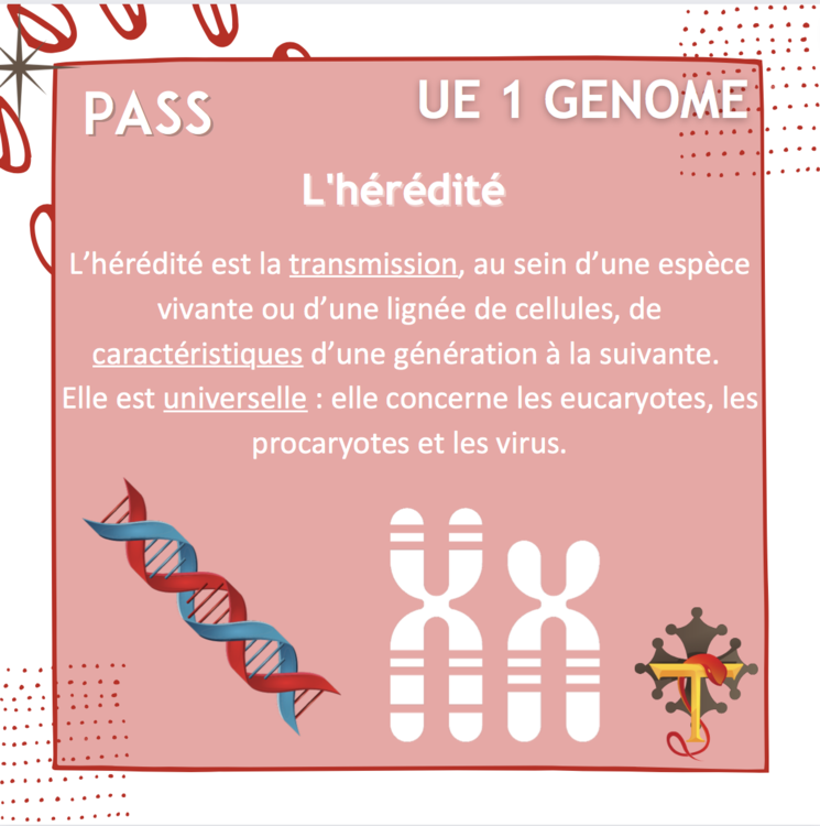 Capture d’écran 2022-06-08 à 14.47.09.png