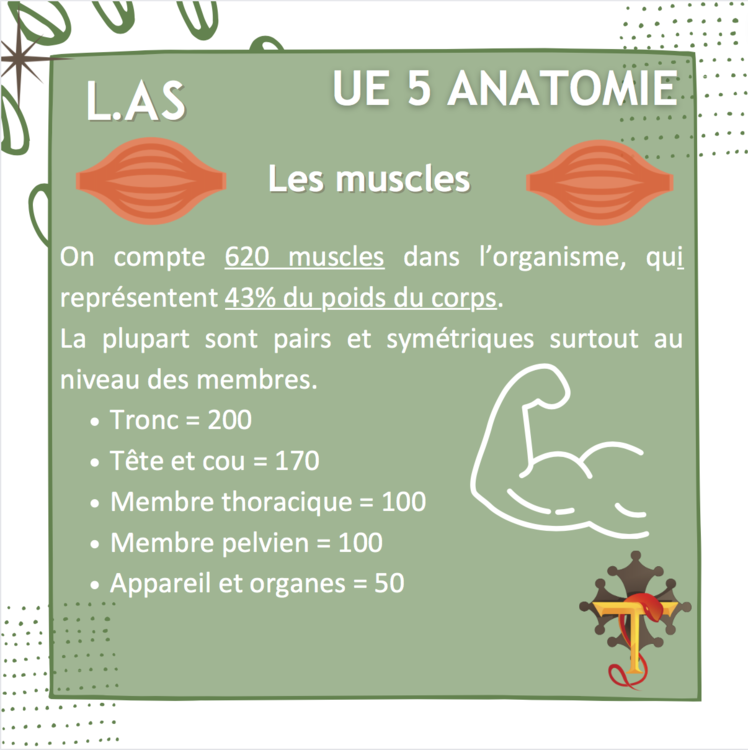 Capture d’écran 2022-06-08 à 14.51.21.png