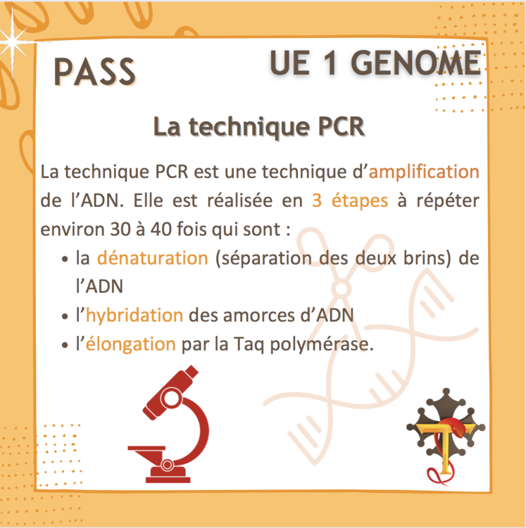 Capture d’écran 2022-06-08 à 14.45.29.png