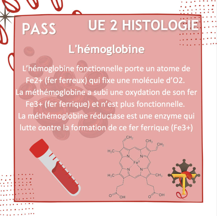 Capture d’écran 2022-06-08 à 14.45.37.png