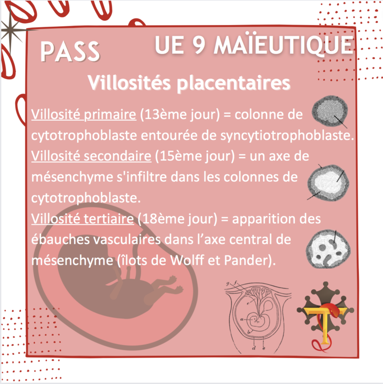 Capture d’écran 2022-06-08 à 14.49.47.png