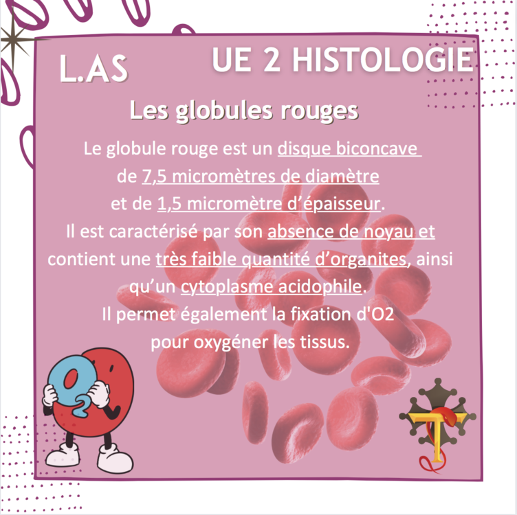 Capture d’écran 2022-06-08 à 14.51.28.png