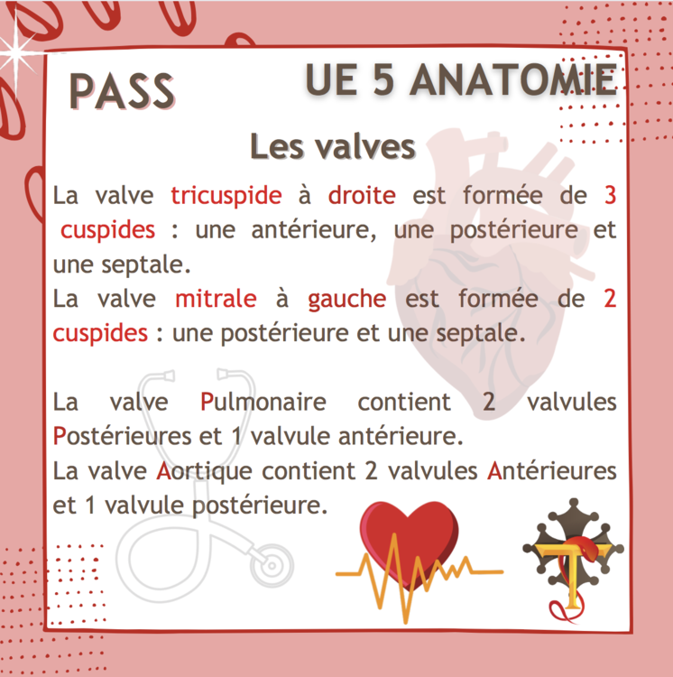 Capture d’écran 2022-06-08 à 14.46.00.png