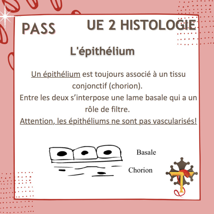 Capture d’écran 2022-06-08 à 14.47.48.png