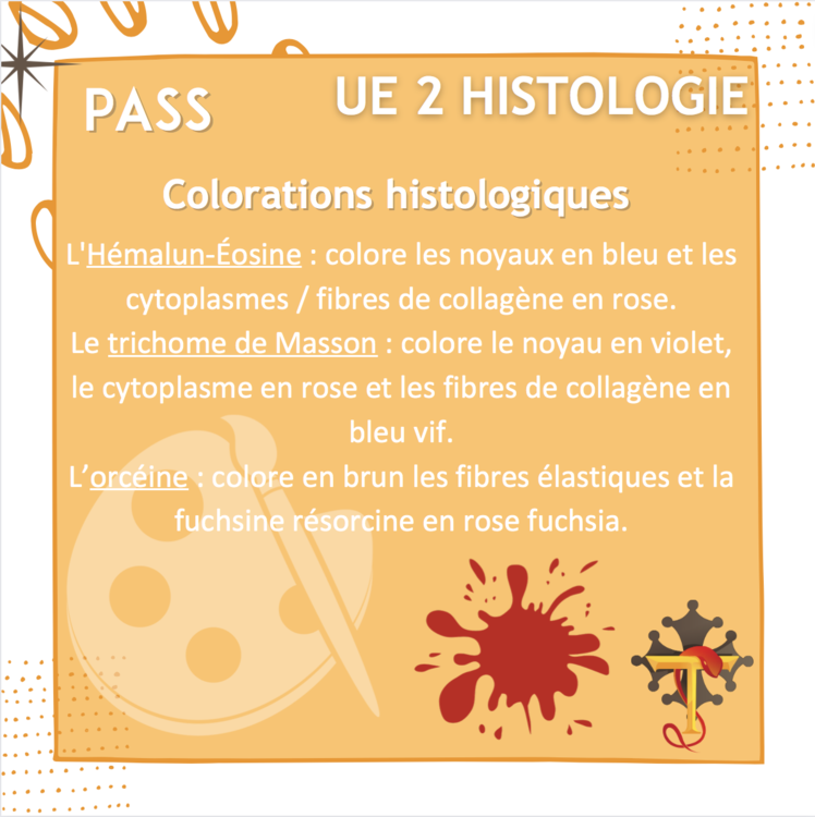 Capture d’écran 2022-06-08 à 14.46.46.png