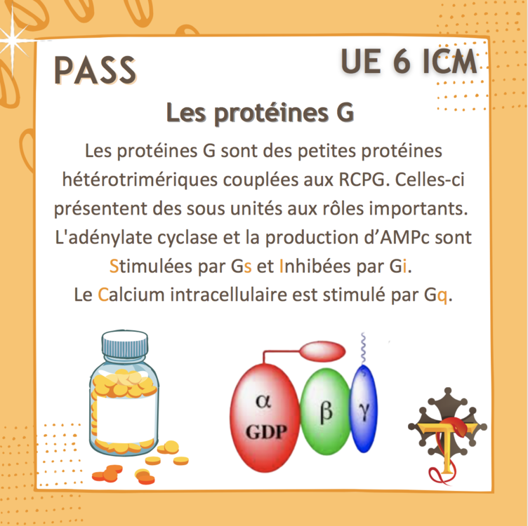 Capture d’écran 2022-06-08 à 14.46.54.png