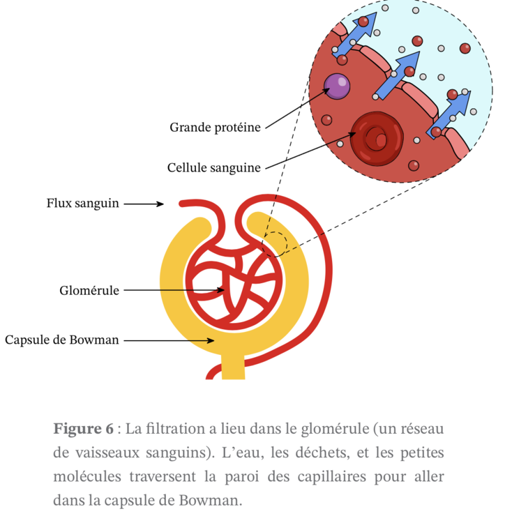 Capture d’écran 2022-10-23 à 14.54.29.png