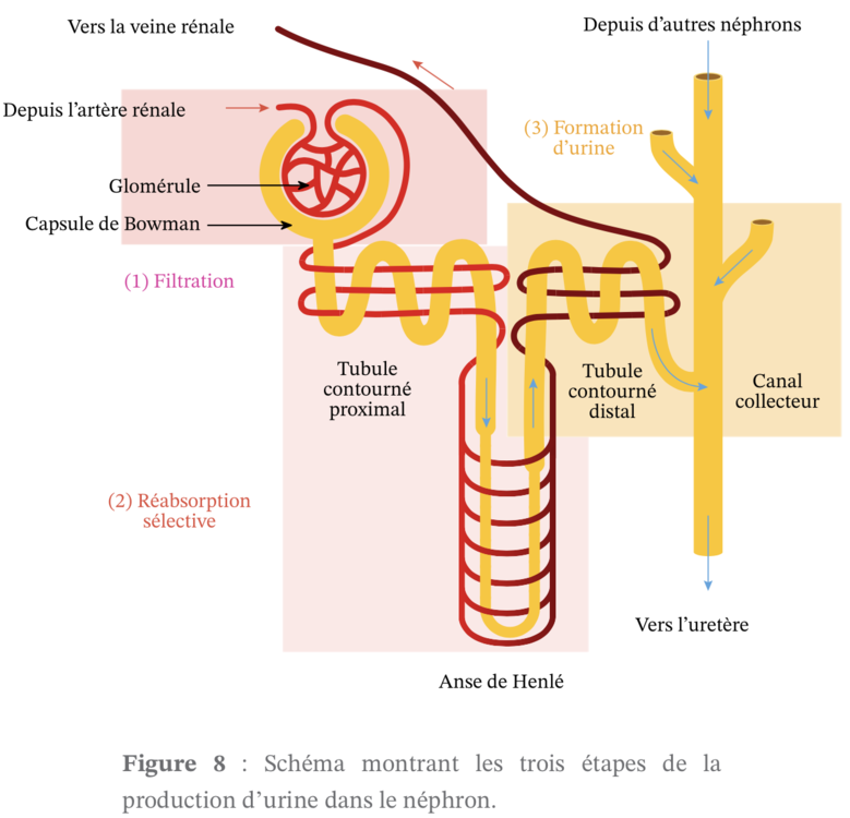 Capture d’écran 2022-10-23 à 14.55.49.png