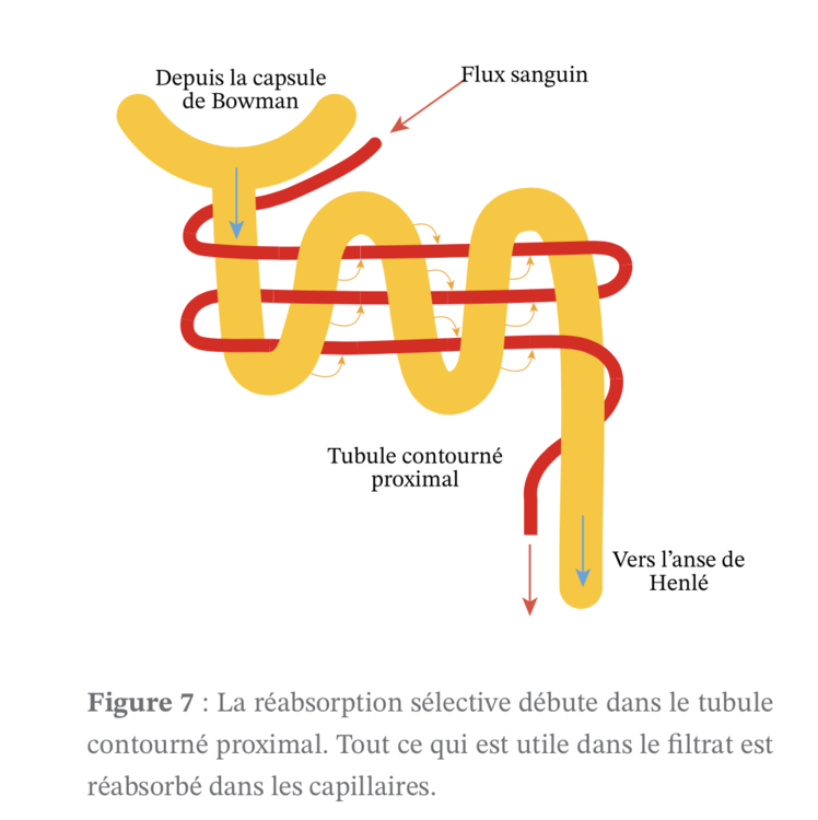 Capture d’écran 2022-10-23 à 14.55.28.png