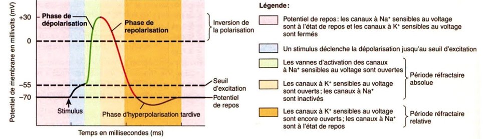 SmartSelect_20221023_235809_Samsung Notes.jpg