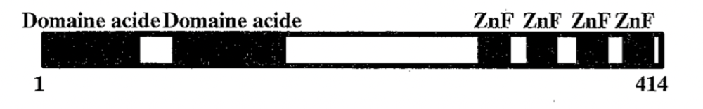 Capture d’écran 2022-11-12 à 00.43.41.png