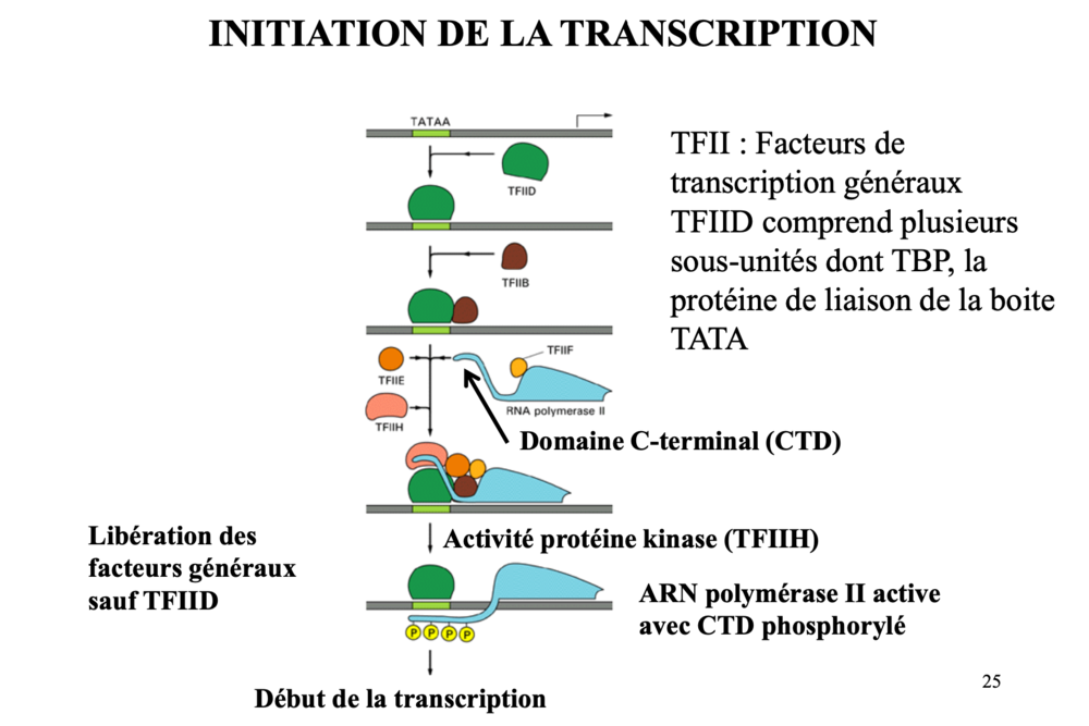 Capture d’écran 2022-11-30 à 14.45.56.png