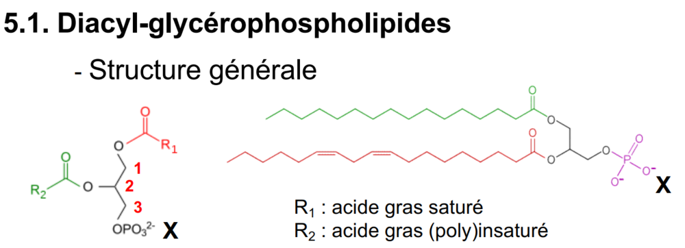 Capture d’écran (279).png