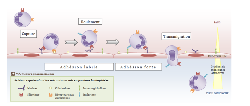 Capture d’écran 2022-11-08 à 18.25.49.png