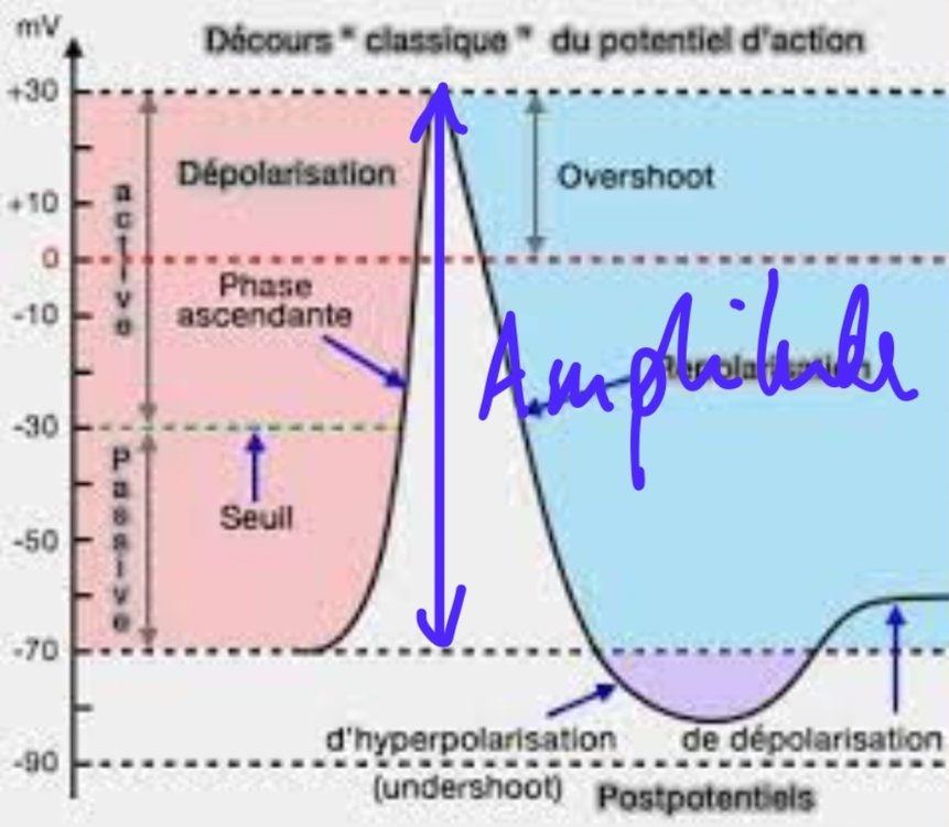 SmartSelect_20221102_153106_Samsung Notes.jpg
