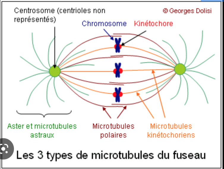 Capture d’écran 2022-11-14 à 20.08.57.png