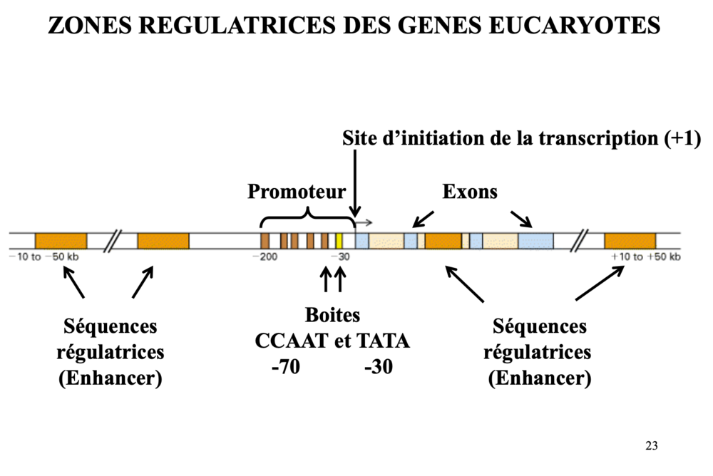 Capture d’écran 2022-11-30 à 14.15.41.png