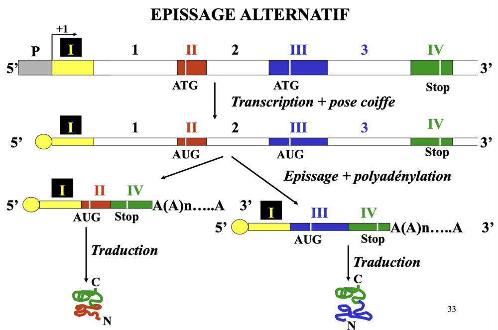 Capture d’écran 2022-12-03 à 11.56.17.png