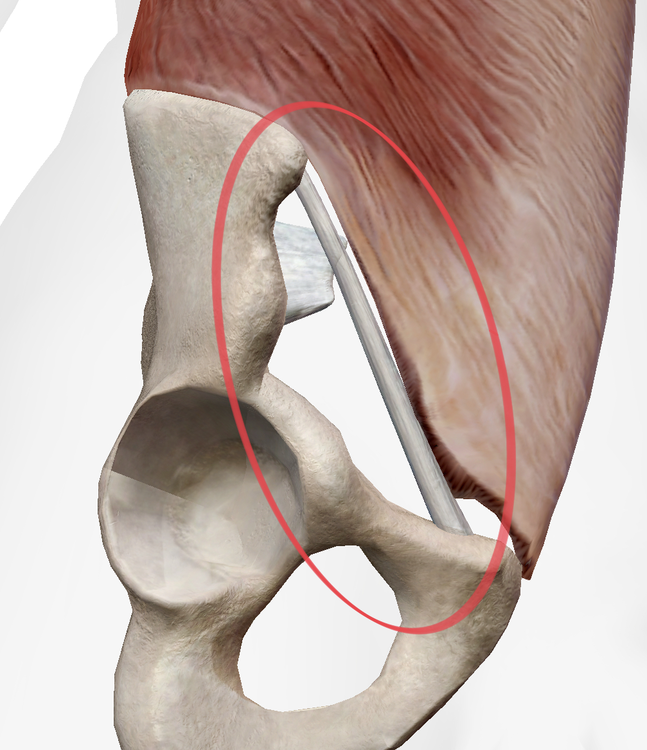 Capture d’écran . 2022-12-01 à 13.11.58.png