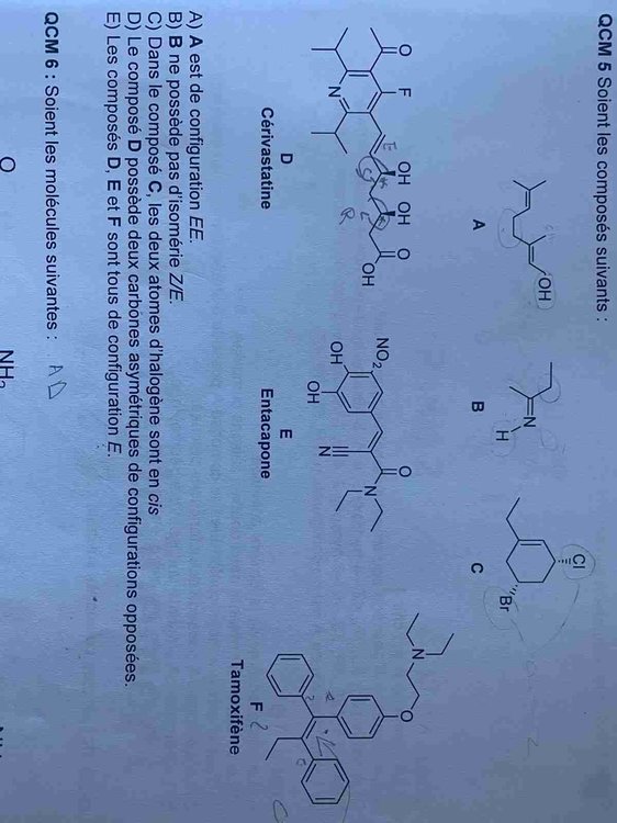 IMG-20221211-WA0018 (1)-compressed.jpg