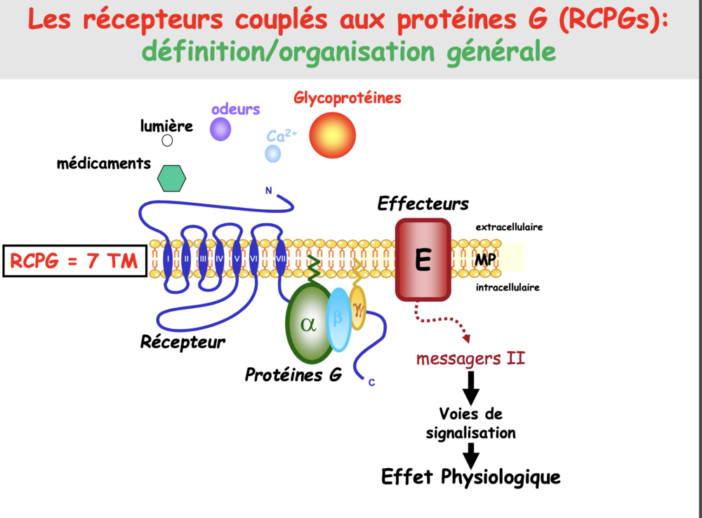 Capture d’écran 2022-12-07 à 22.23.46.png