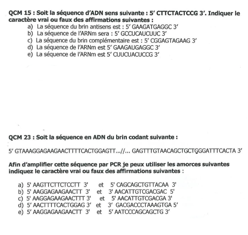 Méthode amorce - UE1 - Génome - Tutorat Associatif Toulousain