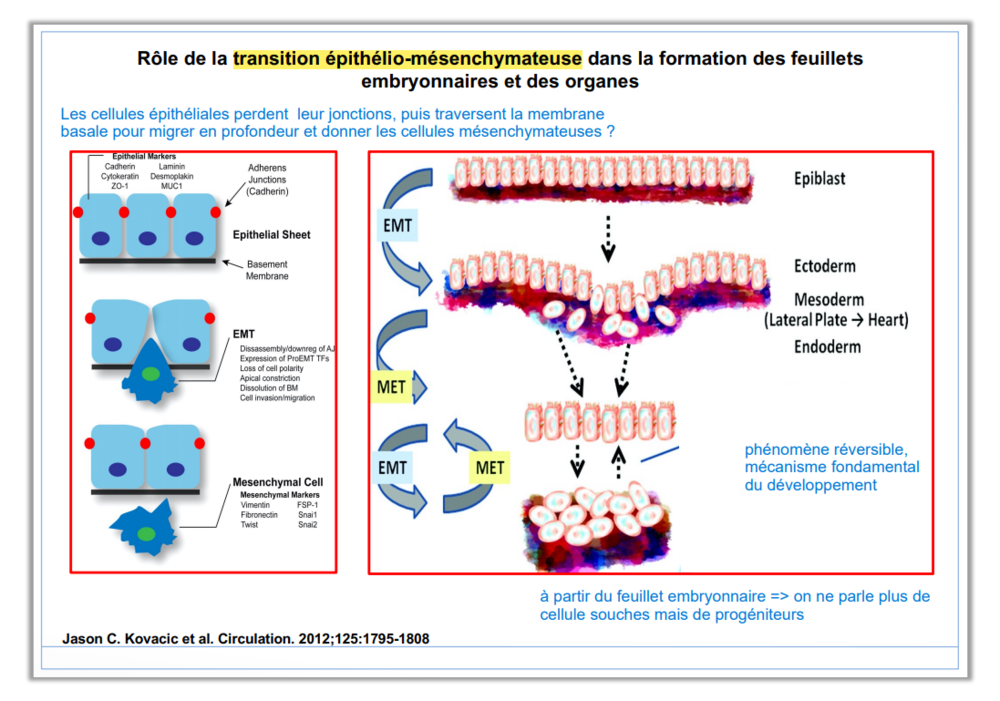 Capture d'écran_20230128_102824.png