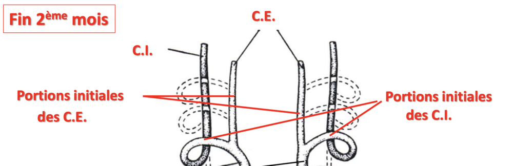Capture d’écran 2023-02-04 à 18.06.48.png