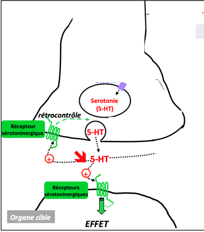 Capture d’écran 2023-02-22 à 21.12.32.png