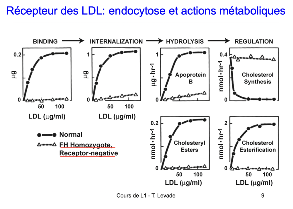 Capture d’écran 2023-02-19 à 13.00.35.png
