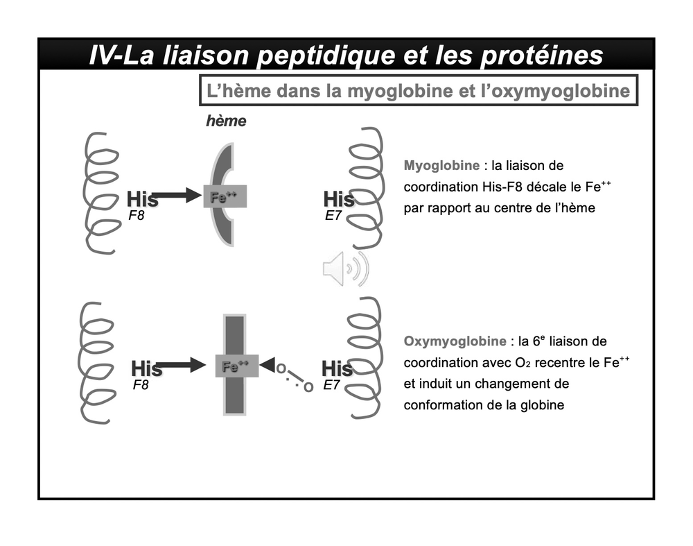 Image 25-02-2023 à 17.09.png